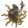 Mora's Hand