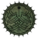 Oscelda