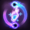 Stellar Cycle
