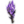 Aridus's Immolated Voidstaff