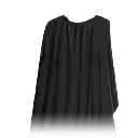 File:Elite Sharpshooter's Cloak.webp