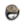 DaVinci's Signet Ring