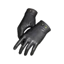 File:Nature's End Gloves.webp