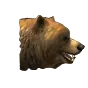 Brown Bear