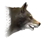 File:Wolf.webp