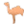 Nomad