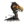 Black Moa